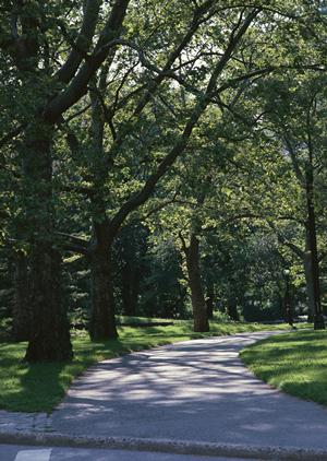 名前だけでも見つかる！人探し成功のための最強対策ガイド